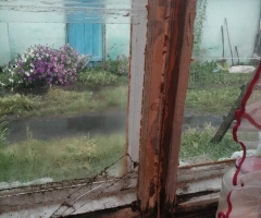 Рамы сгнили, черная плесень. Морозова Т. М., 4 детей, Новосибирская Область.