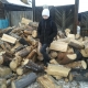 Теперь мы обеспечены на всю зиму дровами!