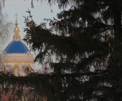Покровский женский монастырь, Саратовская область