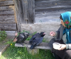 Православный Приход церкви в честь Одигитрии - Страстной иконы Божией Матери, Нижегородская область