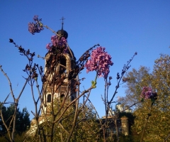 Православный Приход церкви в честь Одигитрии - Страстной иконы Божией Матери, Нижегородская область