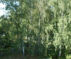 Храм Архангела Михаила , Рязанская область