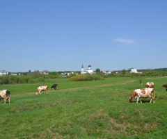 Вознесенский Оршин женский монастырь, Тверская область