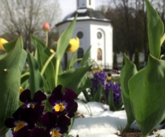 Спасо-Елеазаровский женский монастырь, Псковская область