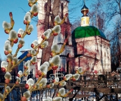 Храм Троицы Живоначальной, Московская область