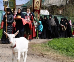 Православный детский социально-реабилитационный центр Родник при Вознесенском Оршине женском монастыре